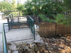 183 D21 SANARY SUR MER 1_000069